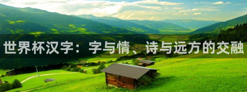 2026世界杯32强对阵图表