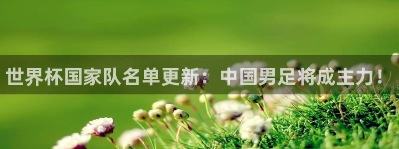 世界杯预选赛亚洲区积分榜：世界杯国家队名单更新：中国男足将成主力！