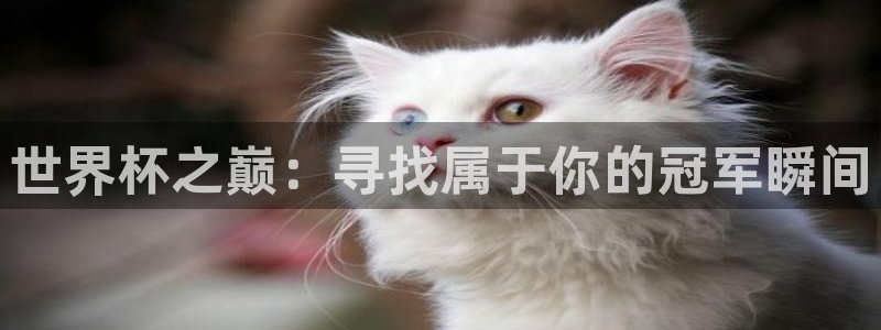 男足世界杯预选赛赛程：世界杯之巅：寻找属于你的冠军瞬间