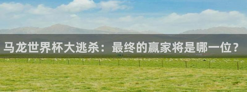 亚洲杯足球:马龙世界杯大逃杀:最终的赢家将是哪一位?