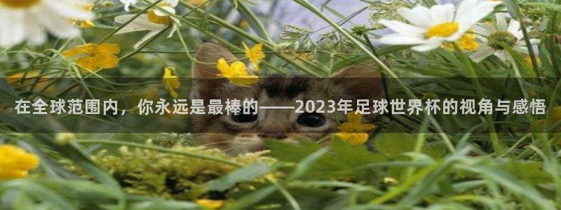 2026世界杯预选赛:在全球范围内,你永远是最棒的——2023年足球世界杯的视角与感悟