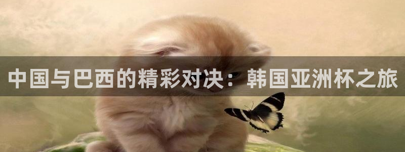 世界杯预选赛赛程表:中国与巴西的精彩对决:韩国亚洲杯之旅
