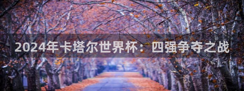 世界杯直播网：2024年卡塔尔世界杯：四强争夺之战