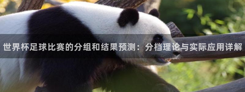 世界杯直播时间：世界杯足球比赛的分组和结果预测：分档理论与实际应用详解