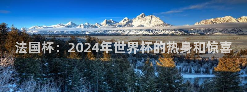 世界杯直播网：法国杯：2024年世界杯的热身和惊喜