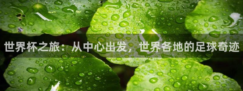 2026世界杯直播：世界杯之旅：从中心出发，世界各地的足球奇迹