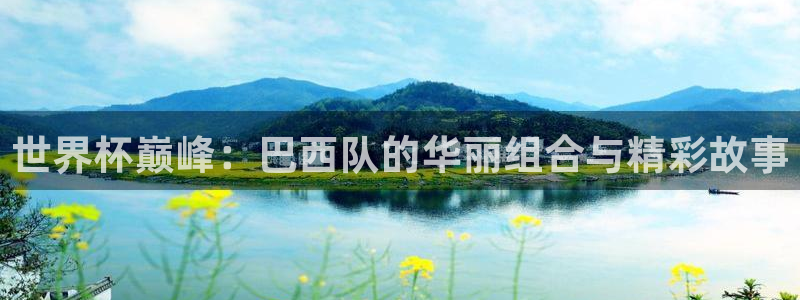 世界杯预选赛直播：世界杯巅峰：巴西队的华丽组合与精彩故事