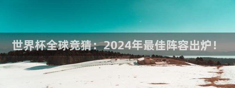 足球杯：世界杯全球竞猜：2024年最佳阵容出炉！