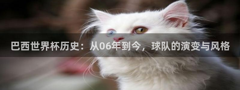 葡萄牙世界杯赛程：巴西世界杯历史：从06年到今，球队的演变与风格