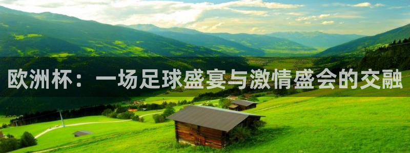 世界杯48支球队赛制：欧洲杯：一场足球盛宴与激情盛会的交融